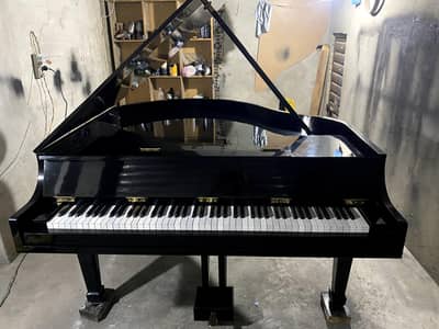 Piano | Grand Piano | Keyboard Piano | Royal Piano