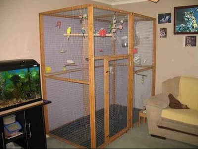 Cage / Pinjra / Colony / Wood cage / budgies / Phari Raw
