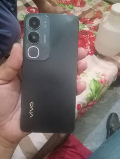 vivo19