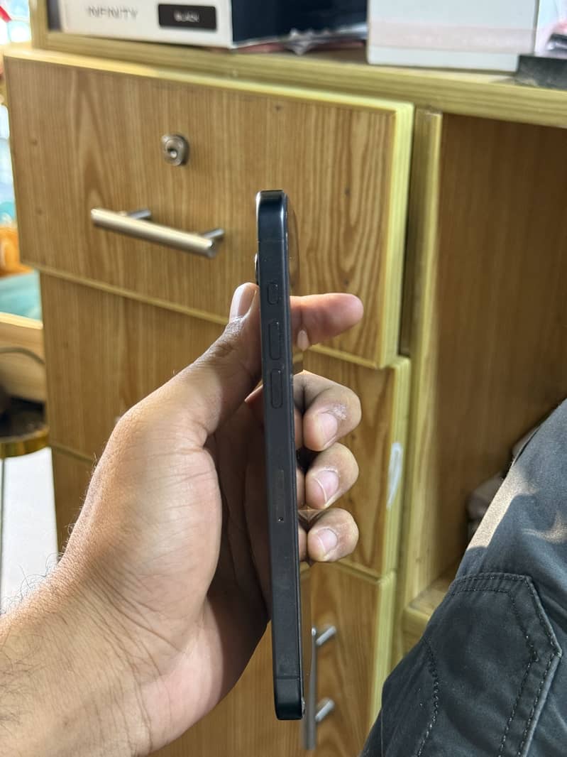 15 pro max 2