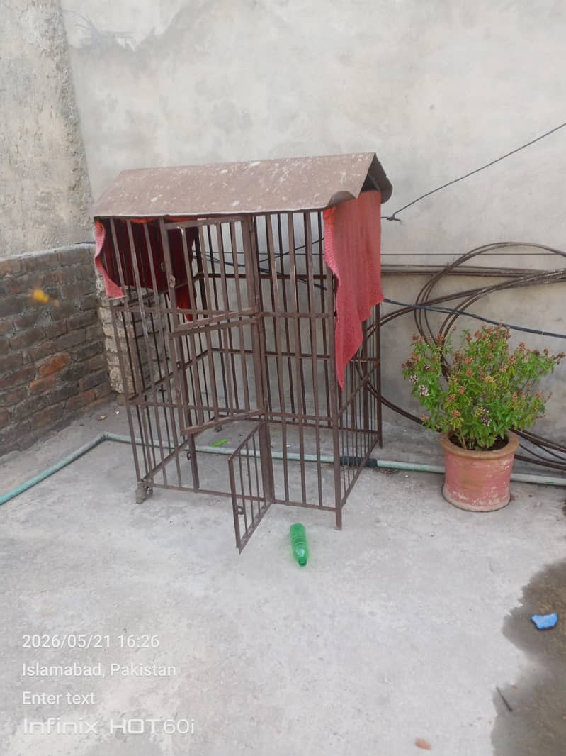pinjar 4