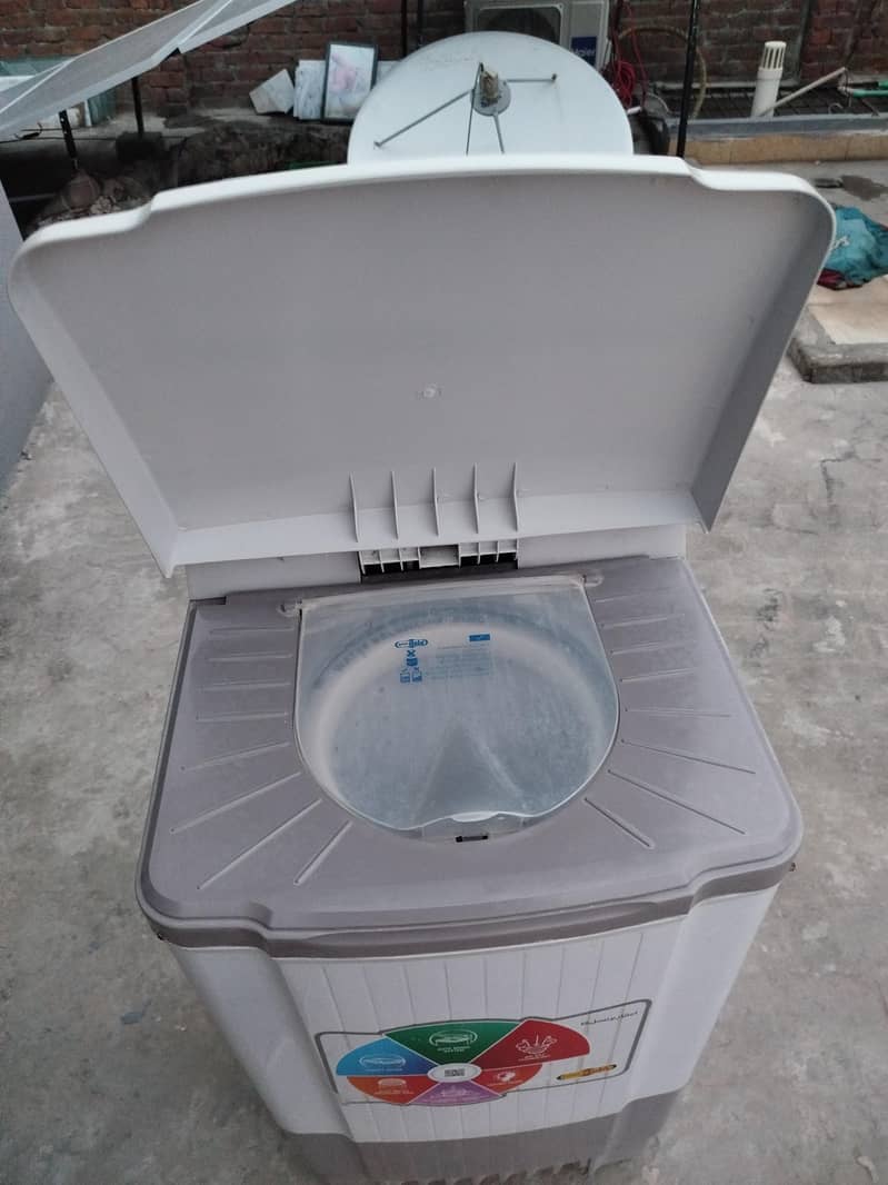 Spin dyrer 4