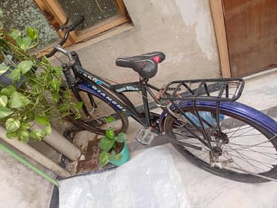 stone bike 360 bianchi for sale