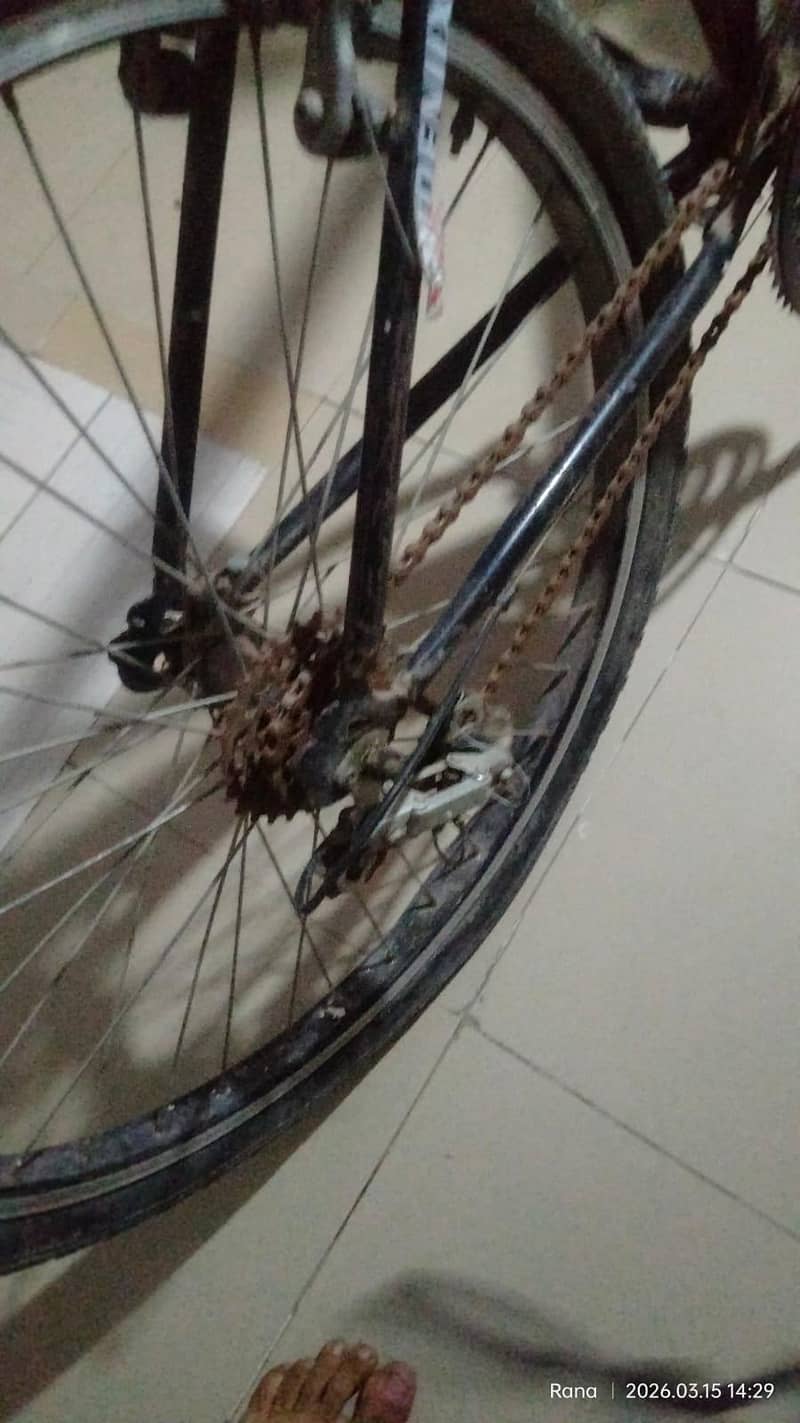 byscycle 1