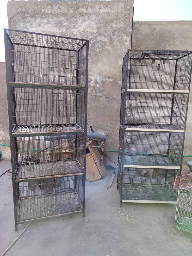 2 cages 4 portion 0