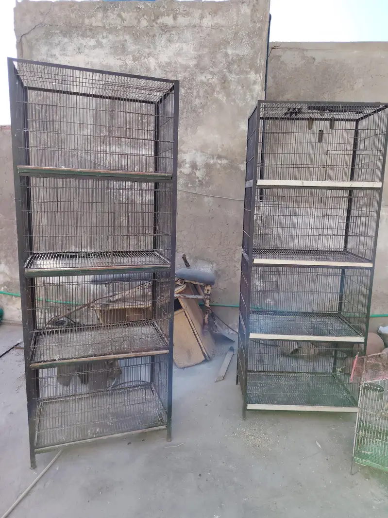 2 cages 4 portion
