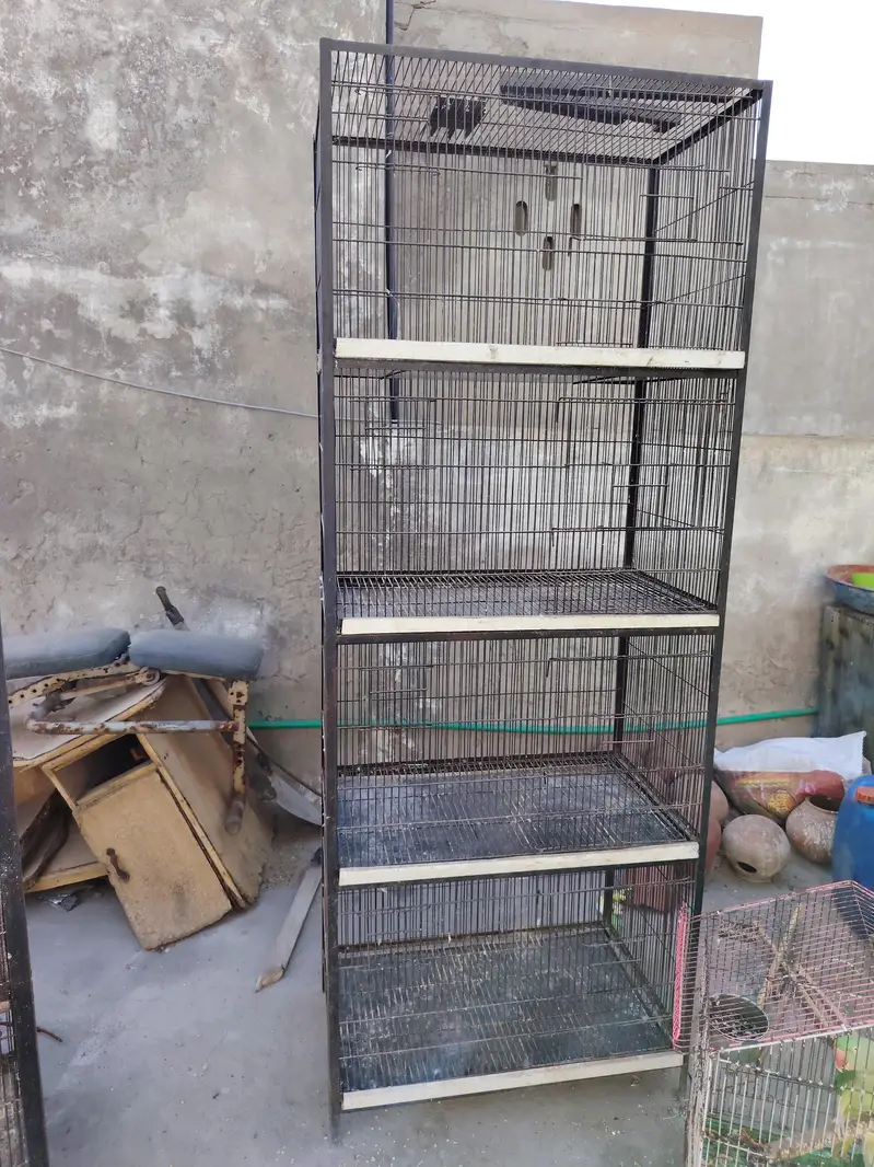 2 cages 4 portion — photo 3