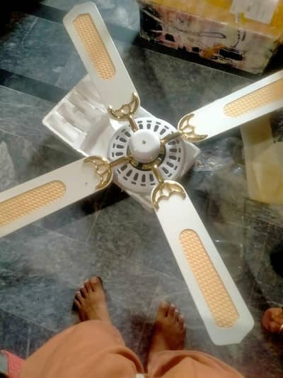 Decoration ceiling fan new