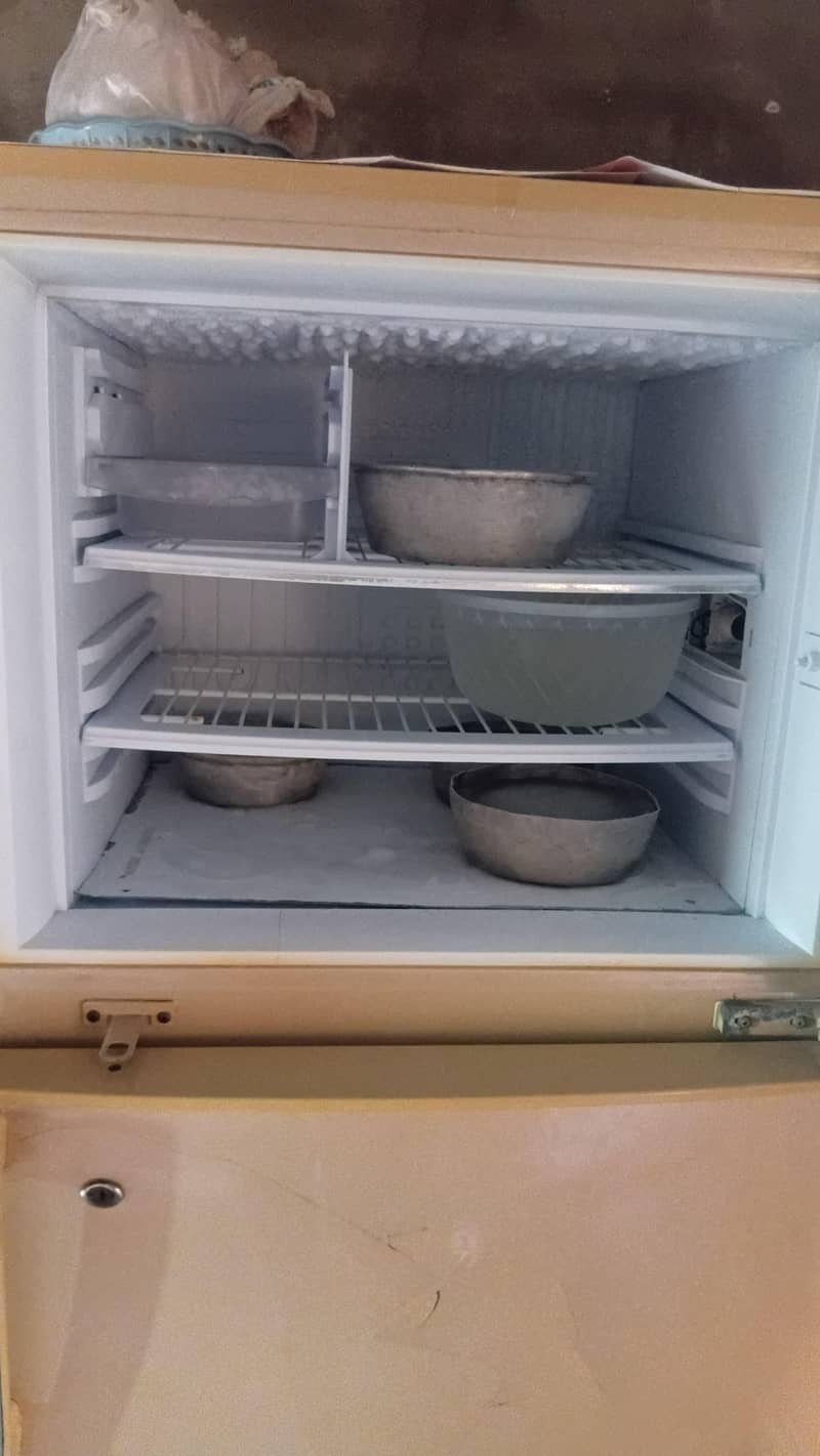 Fridge 2
