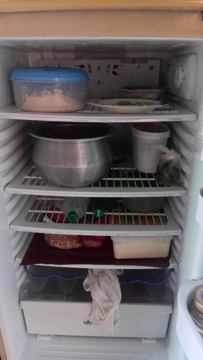 Fridge 4