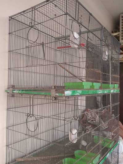 Master cage