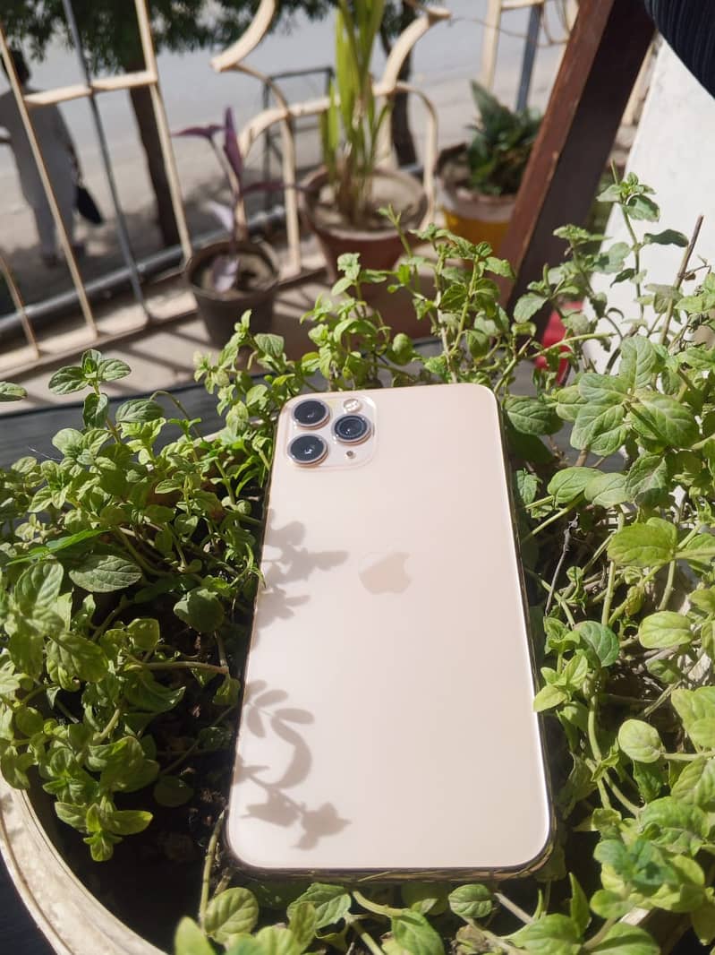 Apple iPhone 11 Pro 1