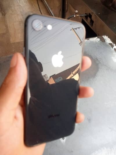 WhatsApp number 03098085767