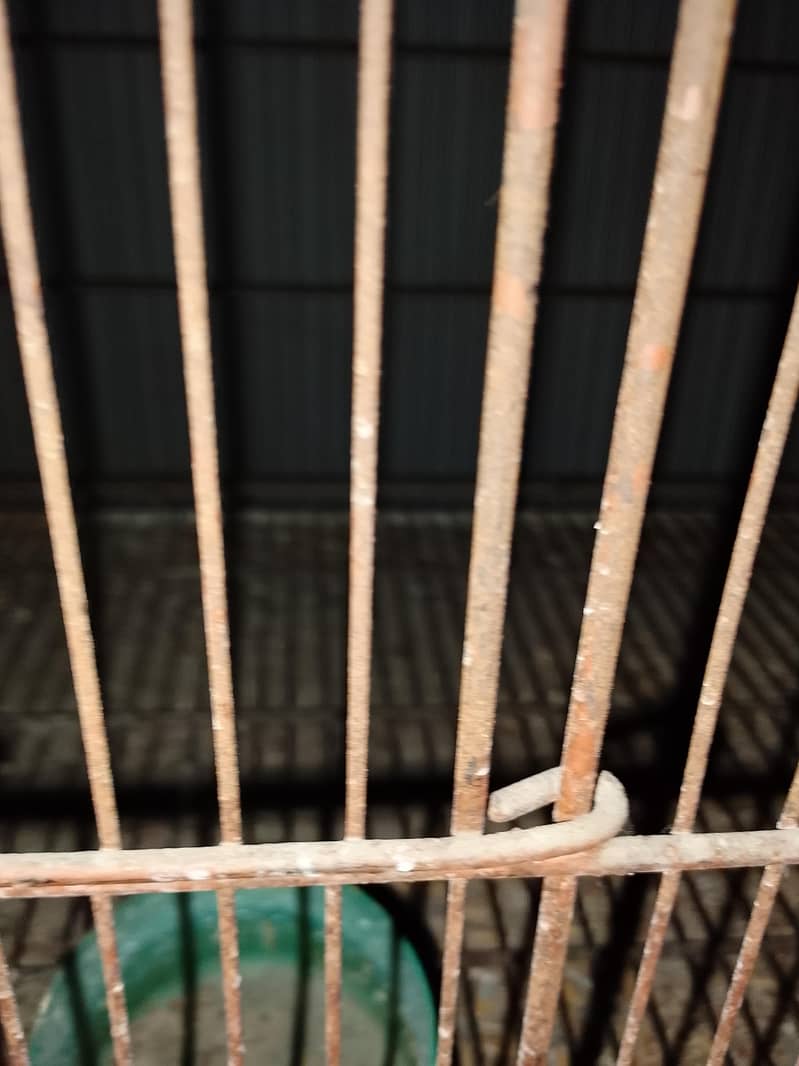 8 portion cage 1