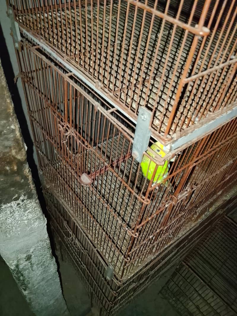 8 portion cage 2