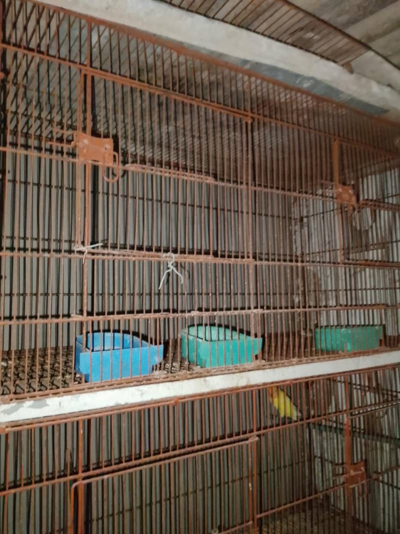 8 portion cage 3