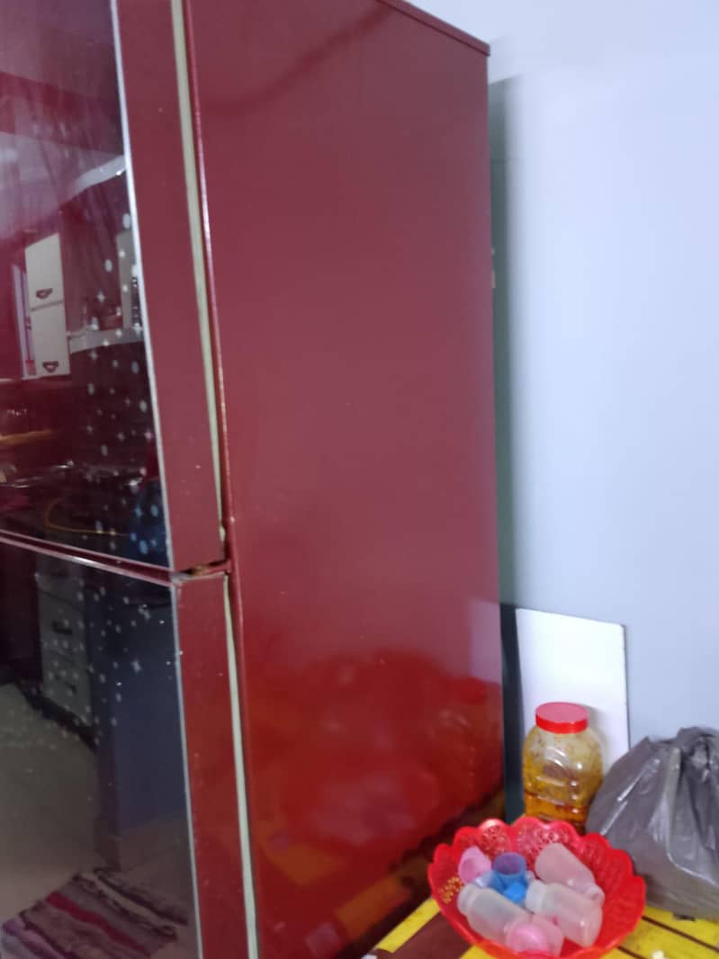 Pel fridge 1