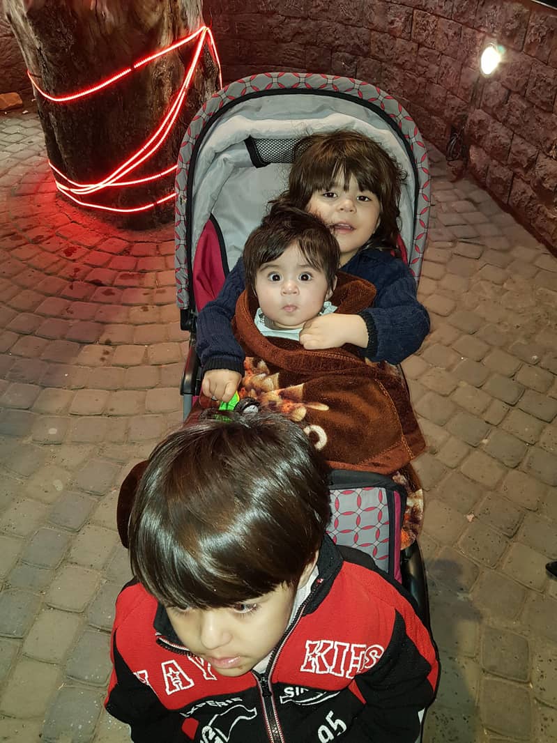 Double babies Stroller 6