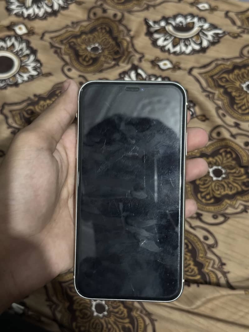 iPhone 11 0
