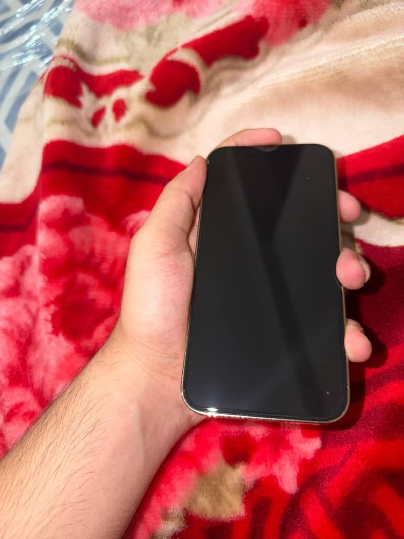 IPHONE 13 pro 4
