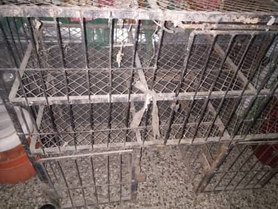 منڈی سے زندہ چکن اٹھانے والا ایک عدد پنجراہ جس کے اسپیس دو ڈھائی من کا