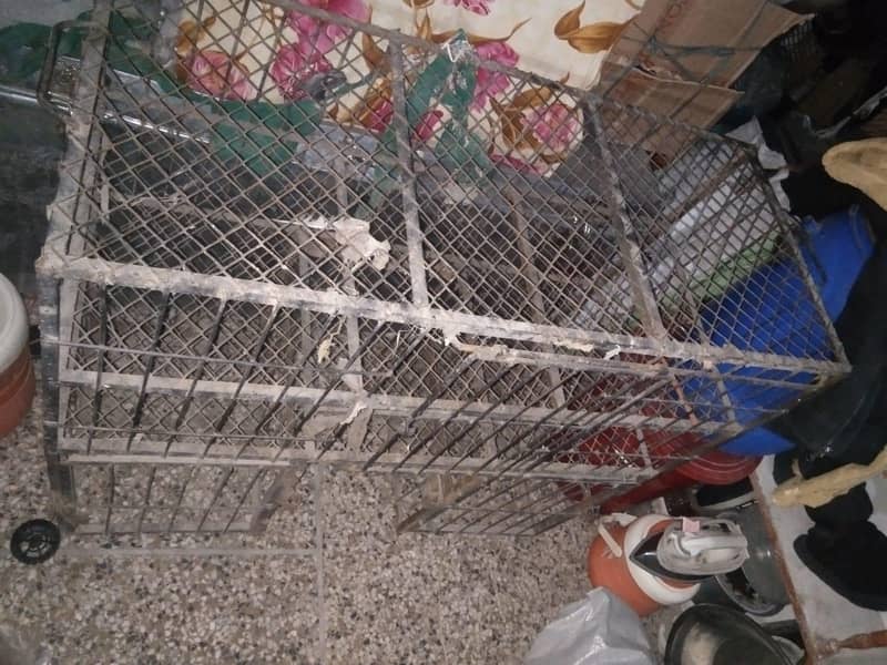 منڈی سے زندہ چکن اٹھانے والا ایک عدد پنجراہ جس کے اسپیس دو ڈھائی من کا 1