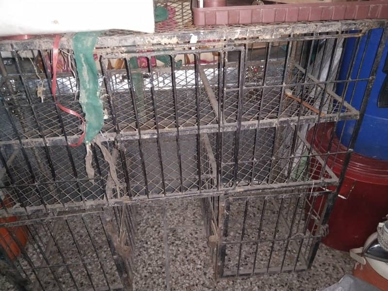 منڈی سے زندہ چکن اٹھانے والا ایک عدد پنجراہ جس کے اسپیس دو ڈھائی من کا 2