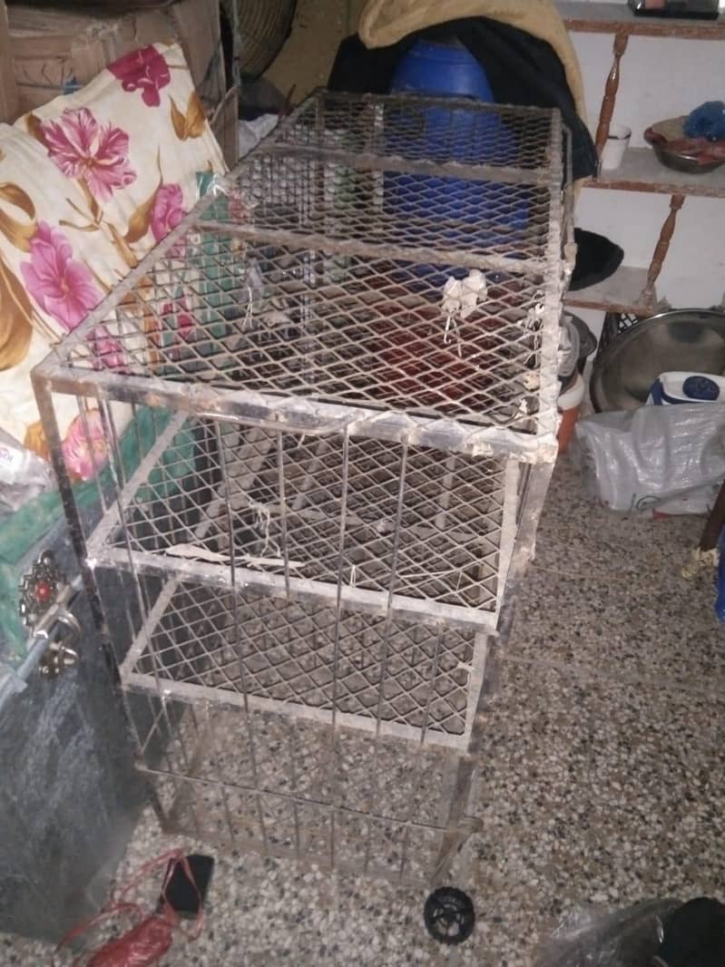 منڈی سے زندہ چکن اٹھانے والا ایک عدد پنجراہ جس کے اسپیس دو ڈھائی من کا 3