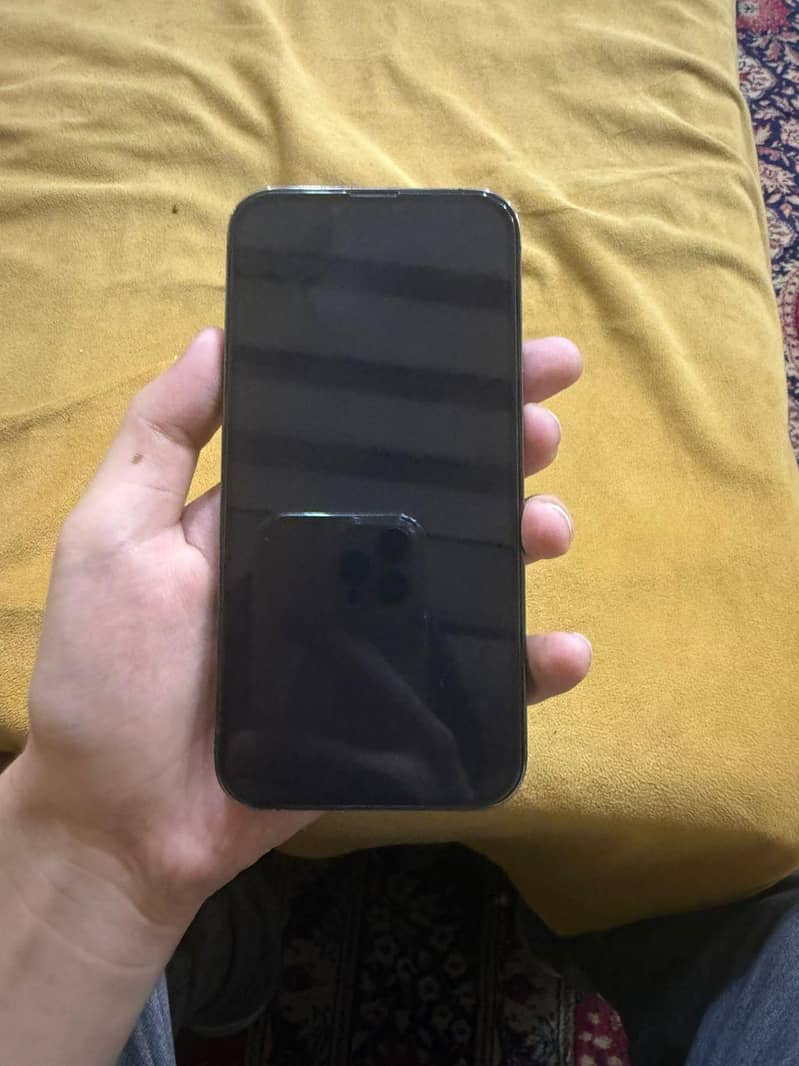 13 pro 2