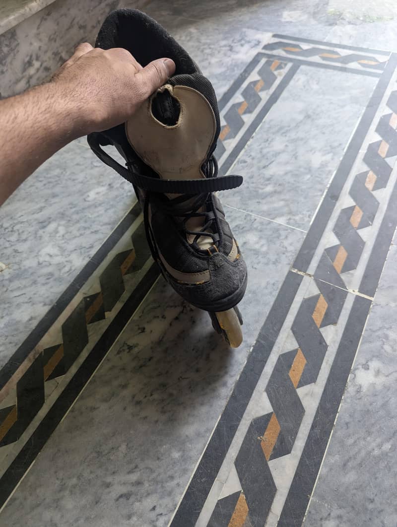 size 8 6