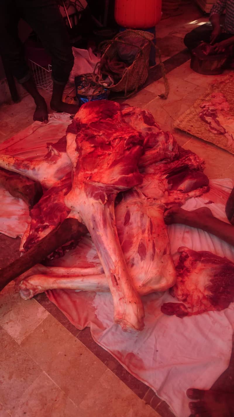 butcher     1