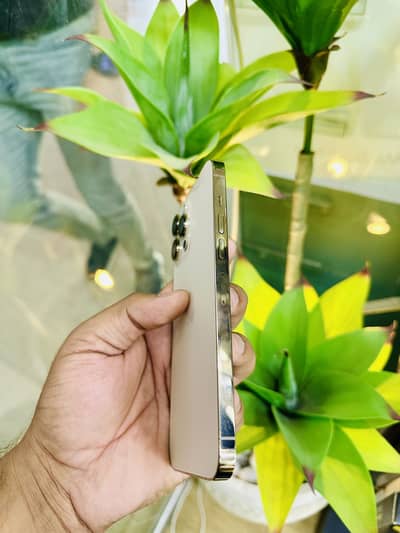 iPhone 13 Pro Max | 128GB | PTA Approved | Original Box  | Urgent Sale