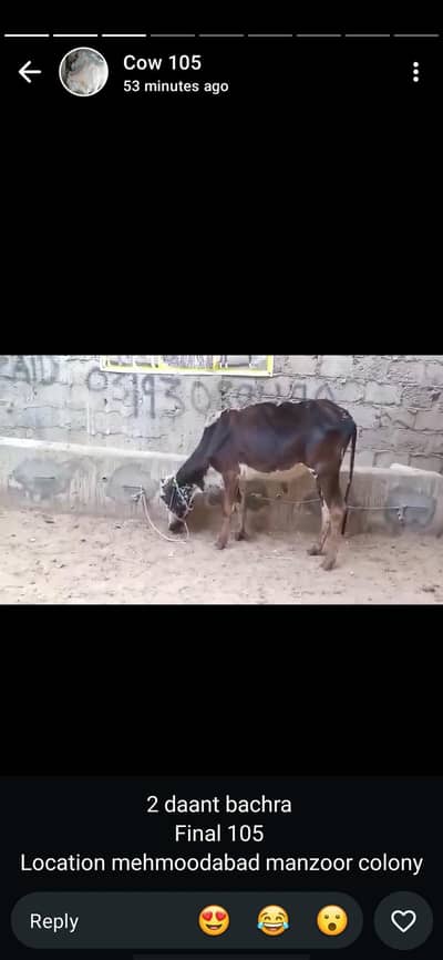 20000 hazar me Qurbani ka hissa mojoud he