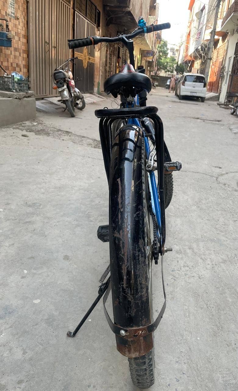 Cycle 3