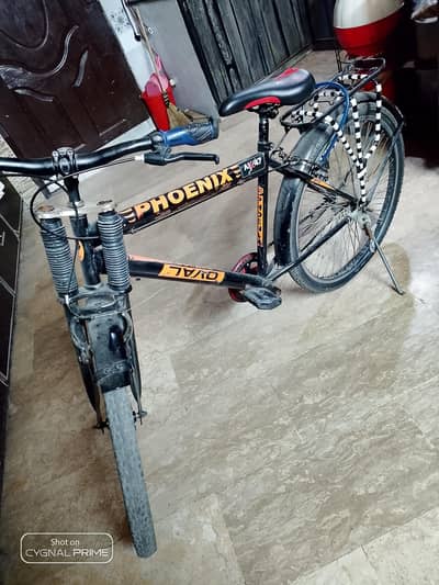 phoenix cycle