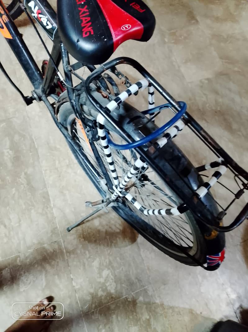 phoenix cycle 1