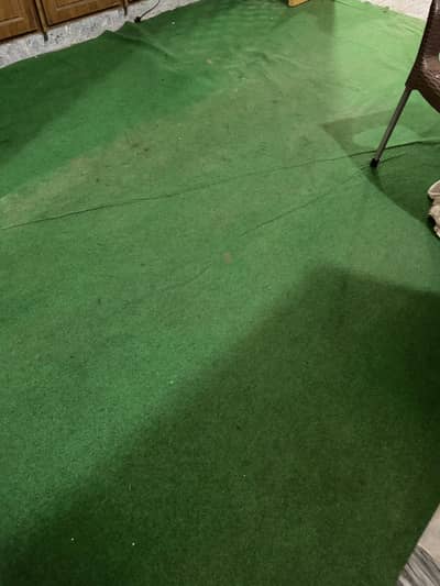 Green Carpet