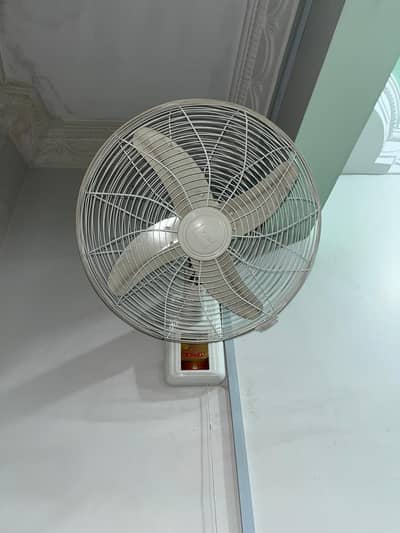 Royal Bracket Fan for Sale