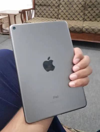 ipad mini 5