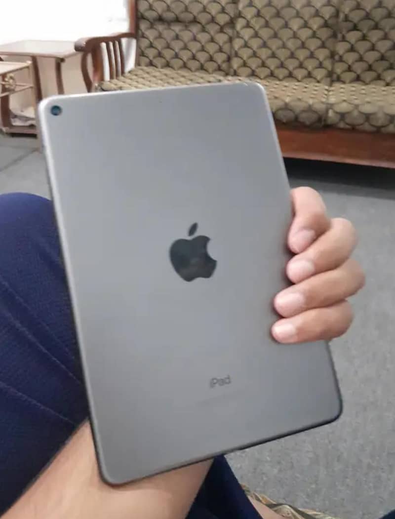 ipad mini 5 0