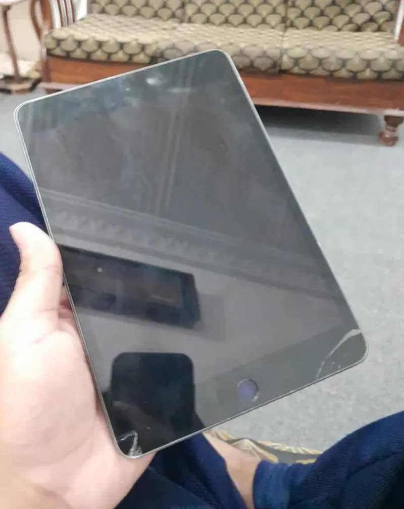 ipad mini 5 6