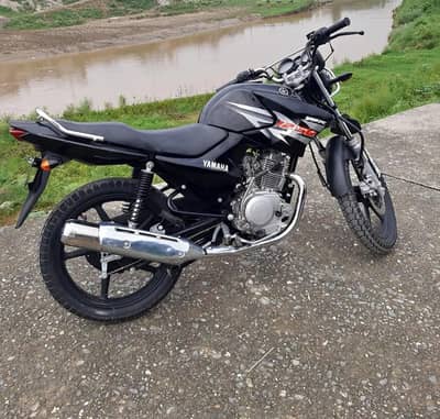 Yamaha YBR G