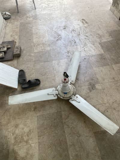 YUNAS 5 FANS FOR SALE IN 24 K
