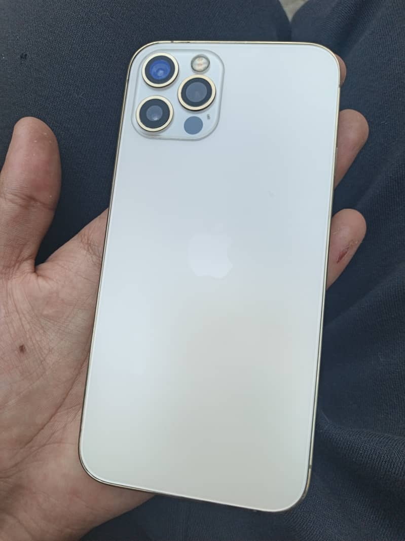 iPhone 12 Pro 0