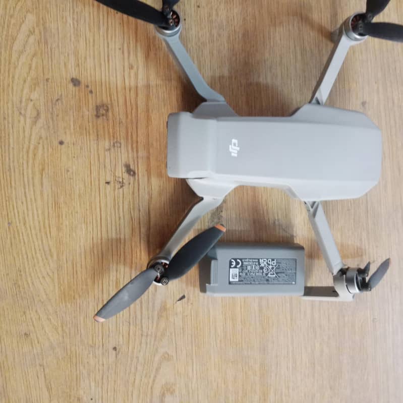 camera 1