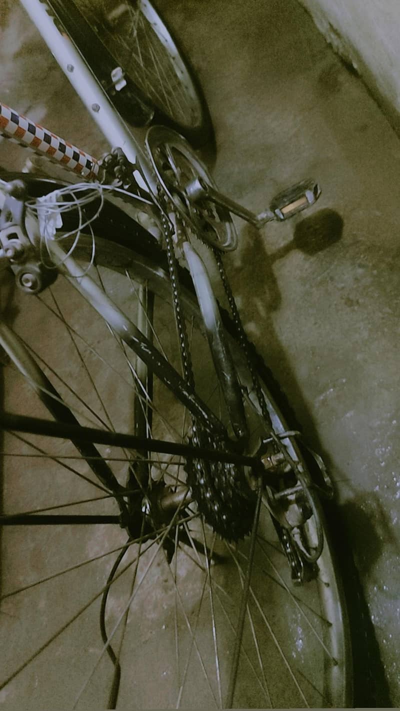 bicycle 1