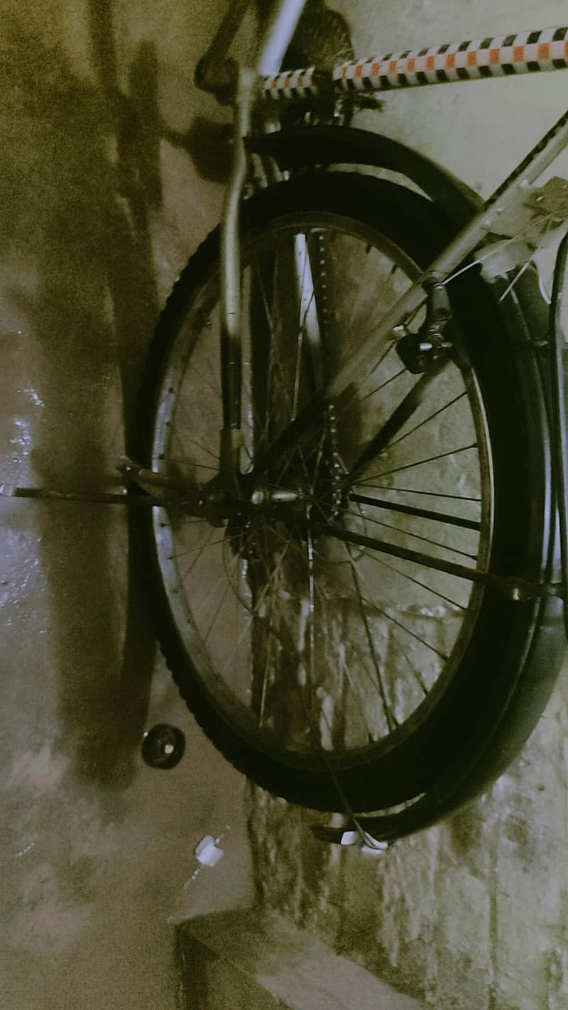 bicycle 4