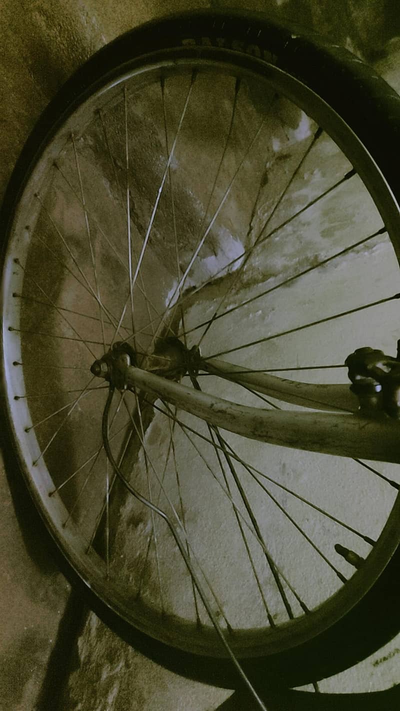 bicycle 5