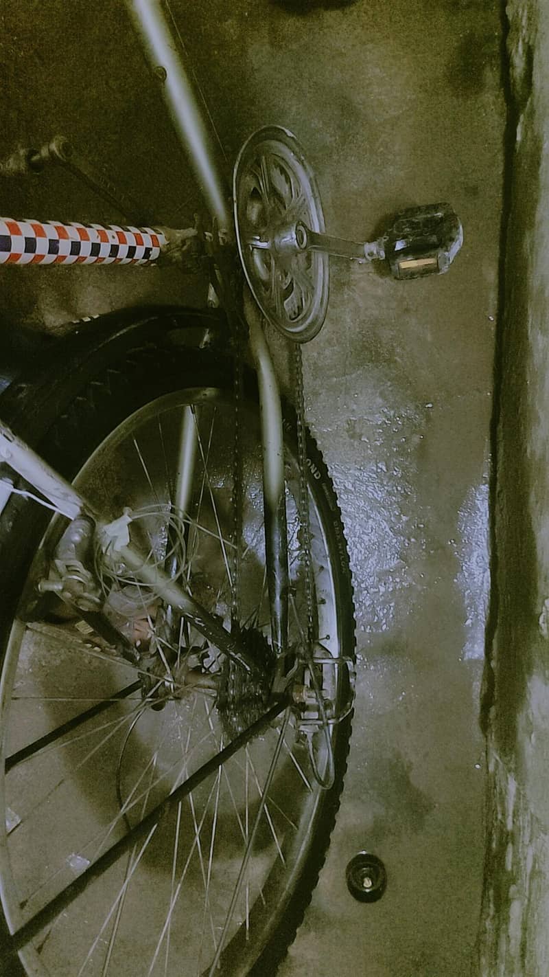 bicycle 6
