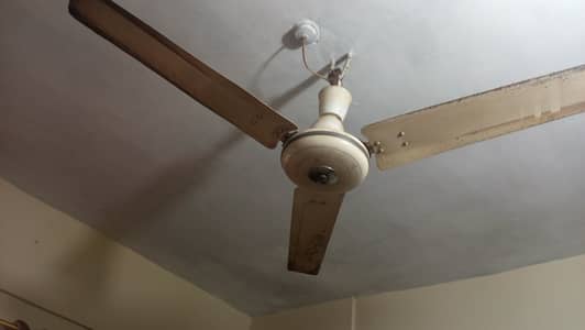 3x Ceiling Fans ( Never Repaired )